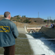 Image for article titled The Los Angeles Aqueduct Turns 100, or The Mules That Built L.A.